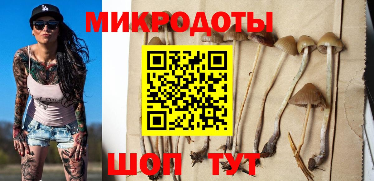 цена наркотик  Псилоцибиновые грибы мухоморы  Вход с VPN  Ревда 