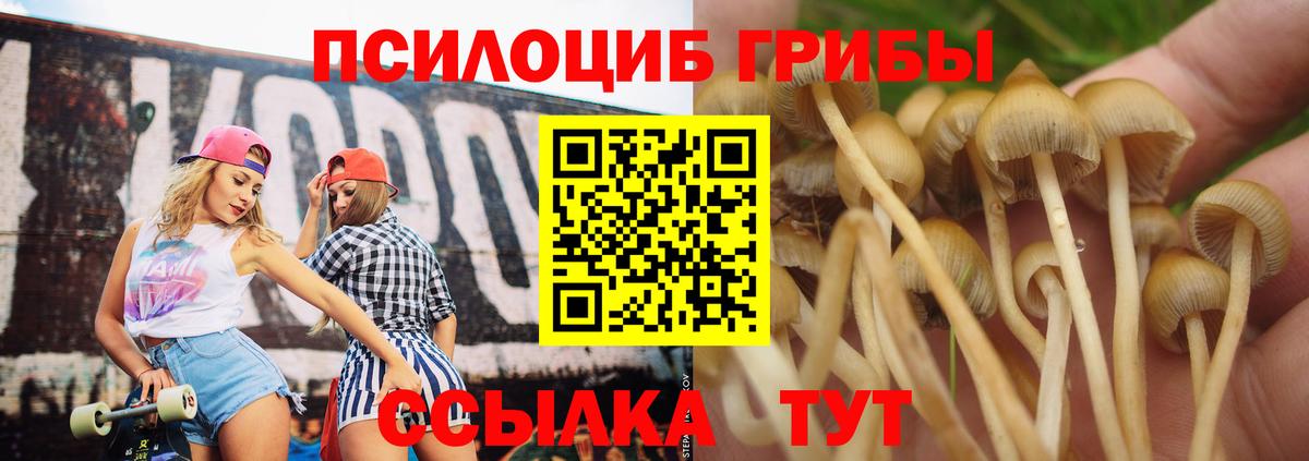Галлюциногенные грибы Cubensis Ревда